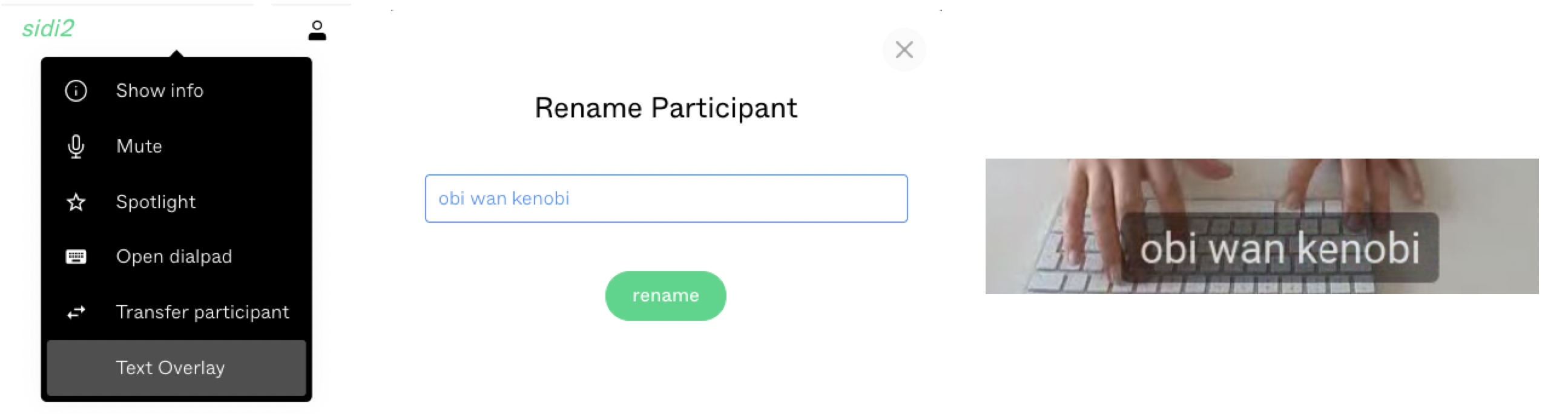 Example of the rename participant plugin